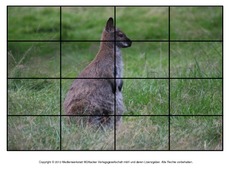 Puzzle-Känguru-2.pdf